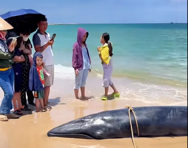 Screenshot 2025-05-31 141723.png