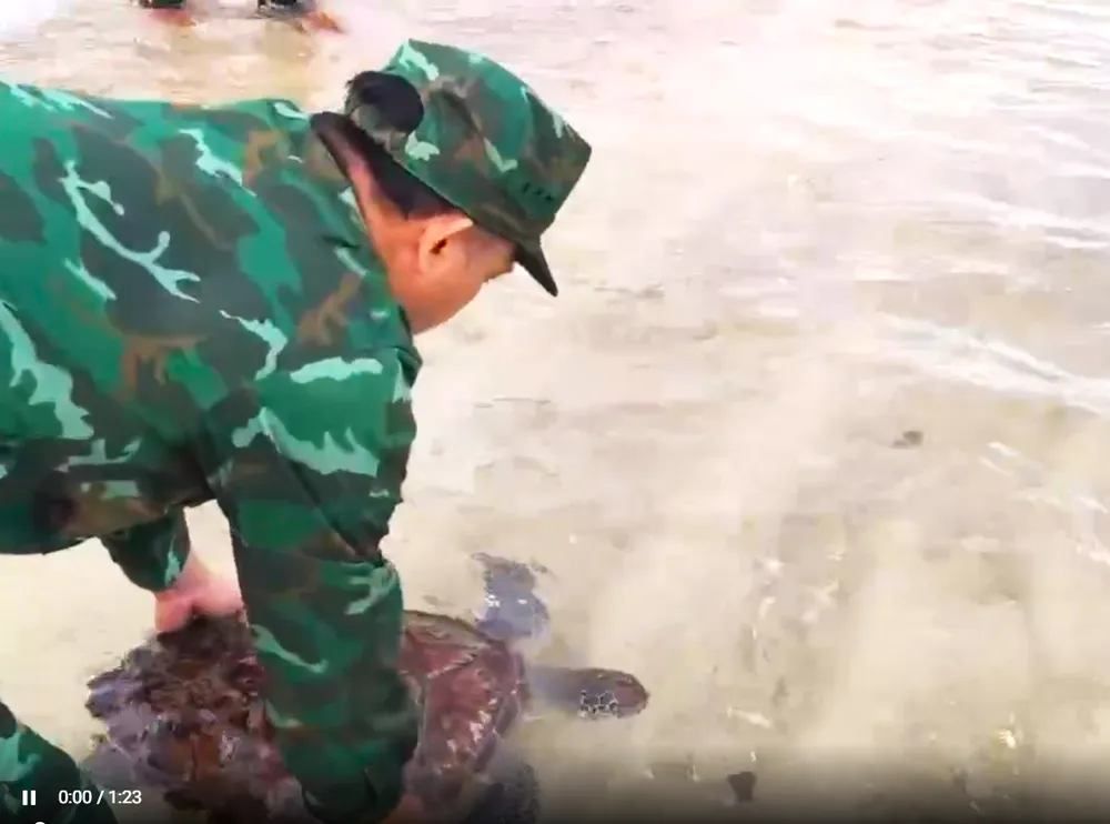 Screenshot 2025-08-12 102008.png