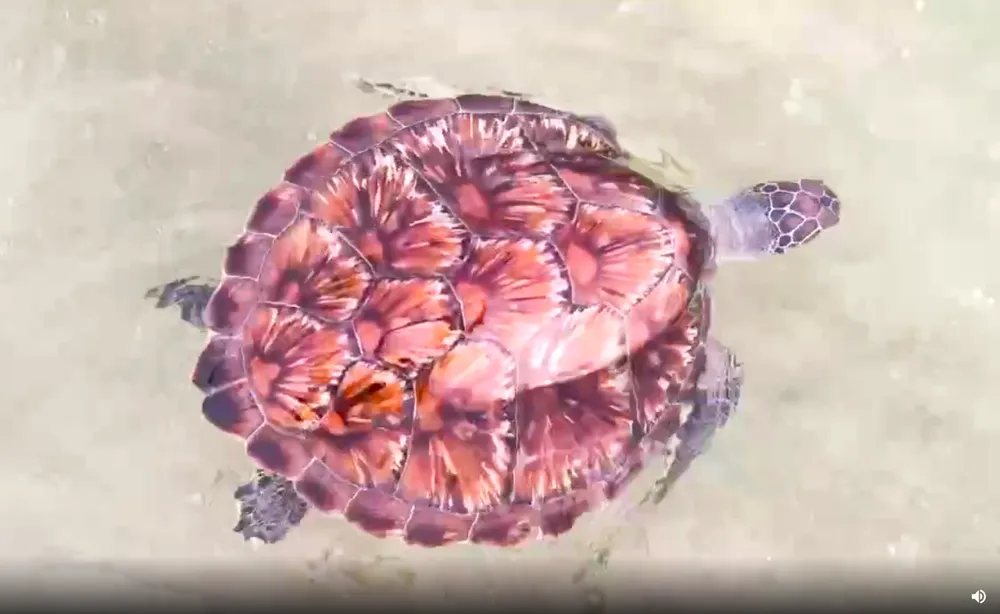 Screenshot 2025-08-12 102104.png