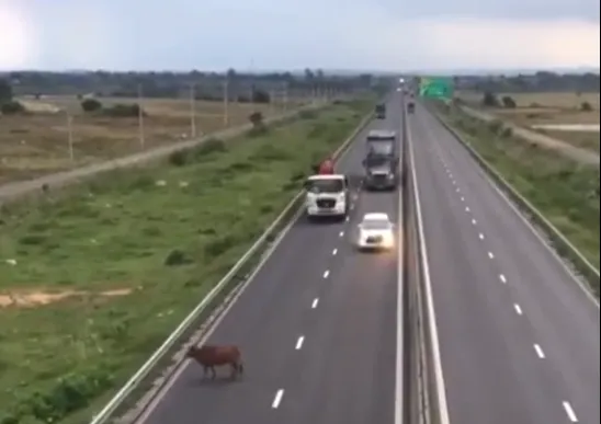 Screenshot 2025-09-10 155621.png