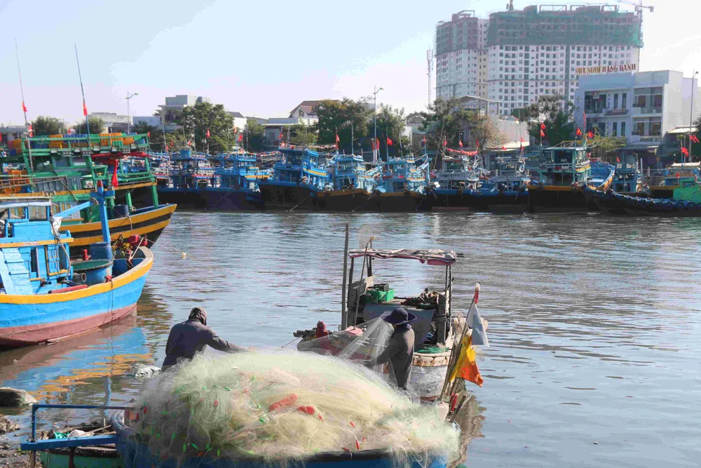 Lâm Đồng hiện là 1 trong 3 ngư trường trọng điểm của cả nước