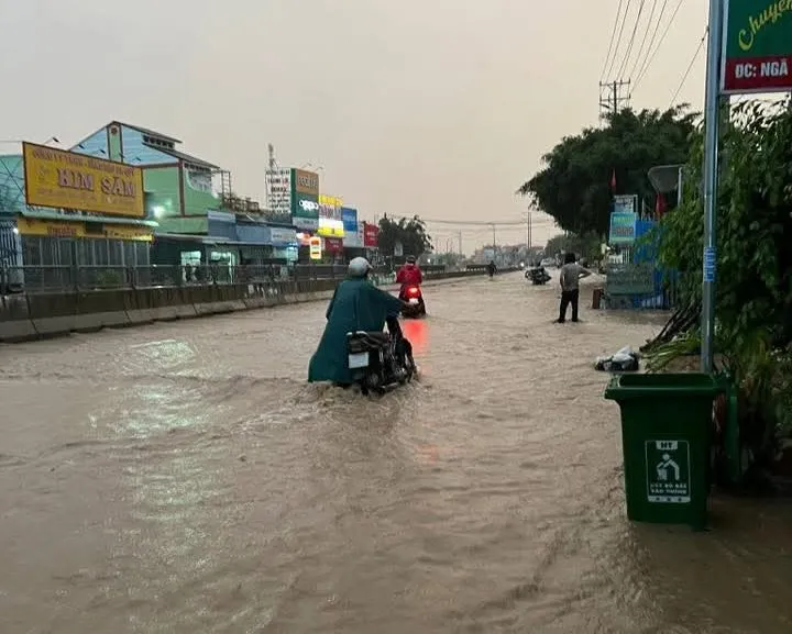 TaupePersimmon5970 ngabagop.jpg