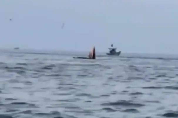 Screenshot 2026-04-23 151553.png