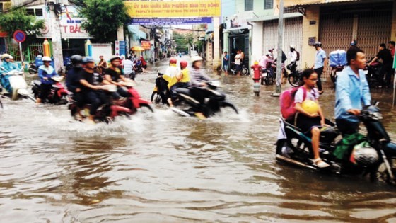 Culvert system seems ineffective in coping with flooding in HCMC ảnh 3