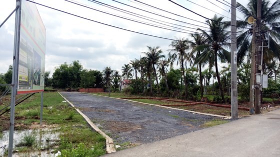 Real estate market reduces fever in HCMC outskirts ảnh 1