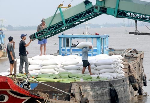 Rice bags transported aboard in the Hau river in the Mekong Delta (Photo: SGGP)