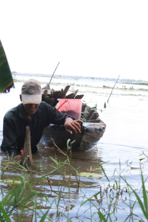 Floodwater starts surging in Mekong Delta, pleasing local residents ảnh 1