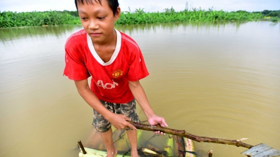 Heavy rains, floodwater release swells Red River ảnh 1