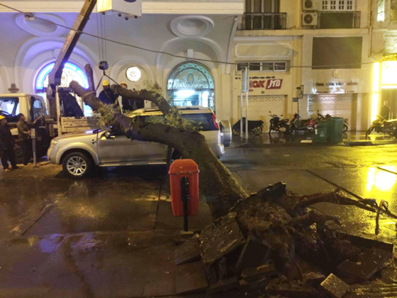 Heavy rain leaves HCMC streets underwater ảnh 1