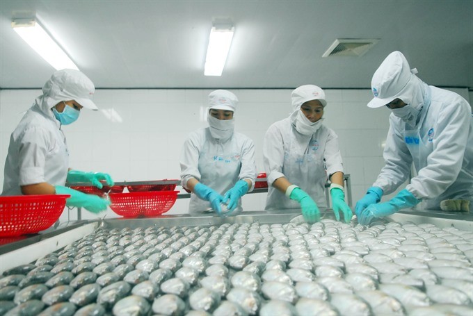 Seafood processing at the Ngo Quyen Joint Stock Company in Chau Thanh District, Kien Giang Province. (Photo: VNA/VNS)