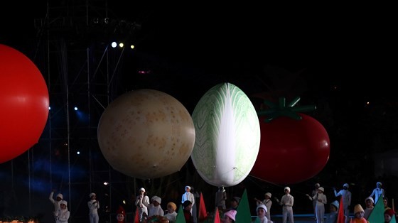 Dat Lat Flower Festival opens ảnh 13