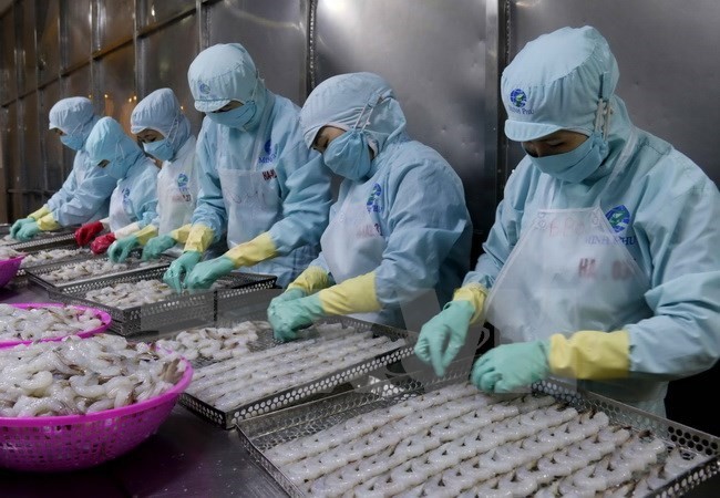 Illustrative image (Source: VNA)