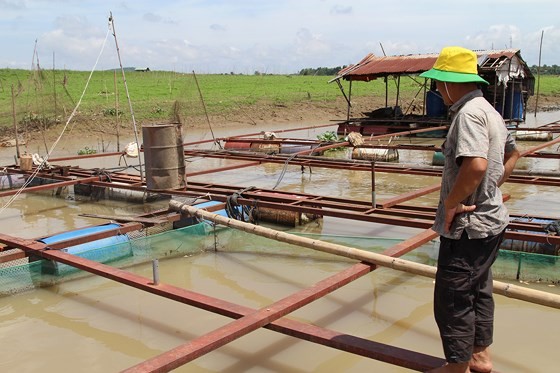 Over 4,500 wastewater discharge spots threat Dong Nai River ảnh 1