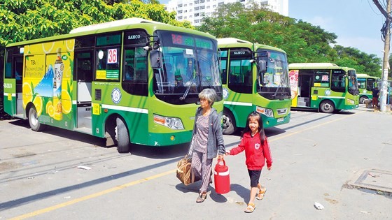 HCMC in urgent need of developing public transport infrastructure ảnh 1