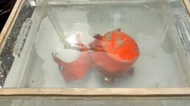 Cockpit voice recorder from Lion Air jet JT610 found (Source: BBC)