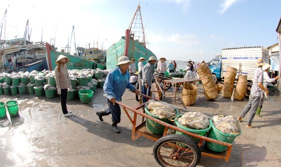 Difficulties hold back aquatic exports ảnh 2