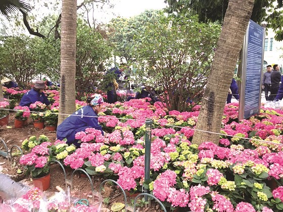 Hanoi prepares for second Trump-Kim submit ảnh 7