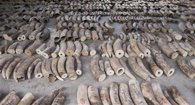 Illustrative image (Photo: AFP)