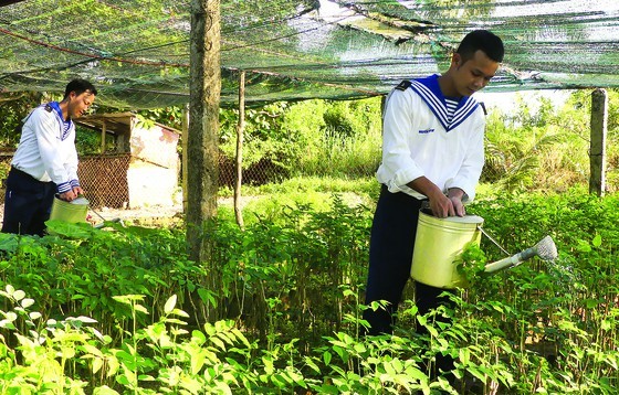 Vitality in island outposts ảnh 1