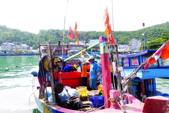 Vitality in island outposts ảnh 4