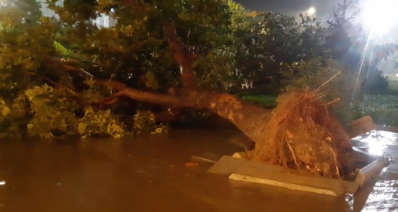 Typhoon Matmo nears Central Vietnam, unleashing heavy rains ảnh 1