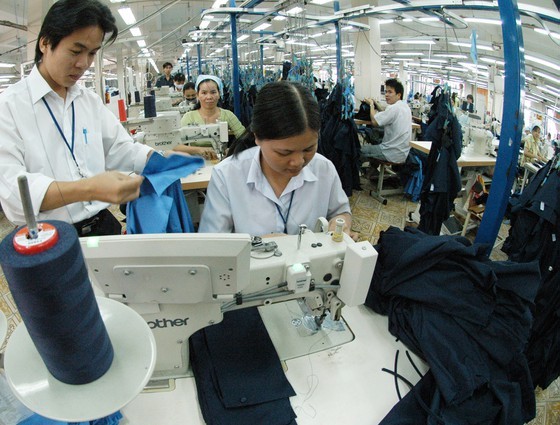 Textile-Garment sector unlikely to obtain export target set for 2019 ảnh 1