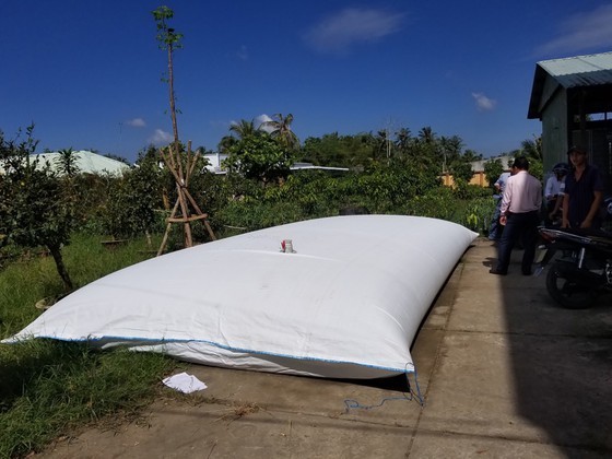 Drought, salt intrusion ravage in Mekong Delta ảnh 1