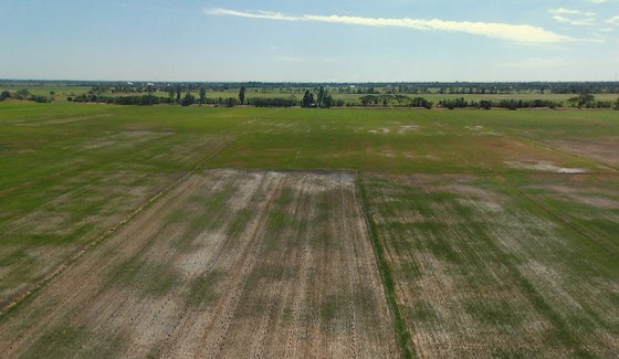 Mekong Delta copes with drought, salt intrusion during Tet holiday ảnh 3