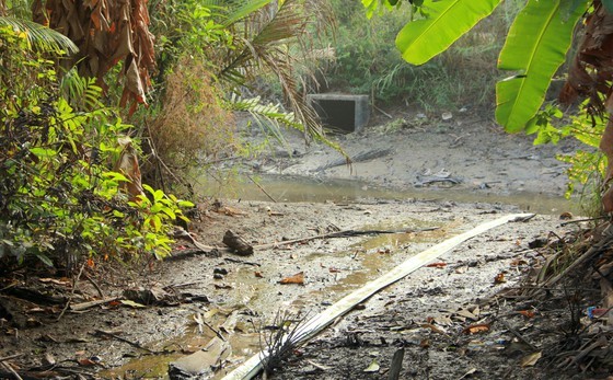 Mekong Delta copes with drought, salt intrusion during Tet holiday ảnh 2