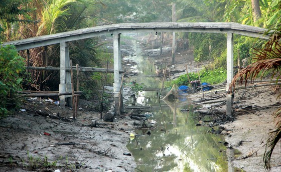 Mekong Delta copes with drought, salt intrusion during Tet holiday ảnh 1