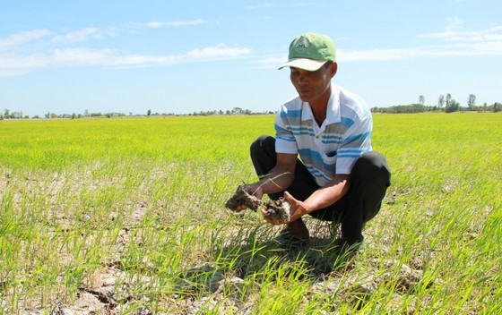 Mekong Delta copes with drought, salt intrusion during Tet holiday ảnh 9
