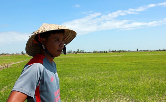Mekong Delta copes with drought, salt intrusion during Tet holiday ảnh 8