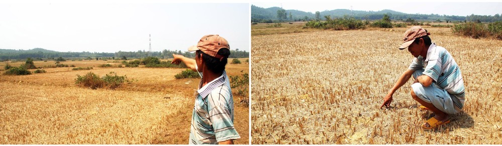 Farmers struggle with drought, water shortage in Central region  ảnh 5