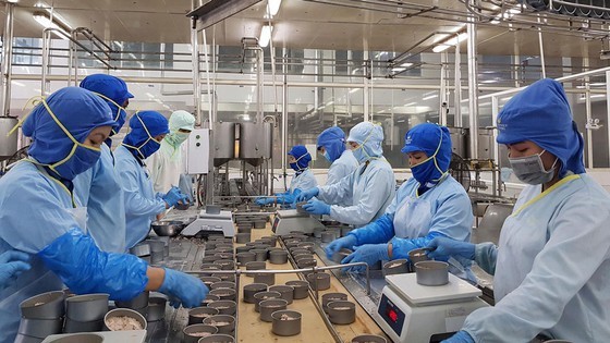 Economic resilience needed post pandemic ảnh 1