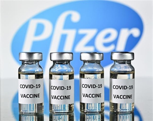 Government agrees to buy nearly 20 million doses of Pfizer’s Covid-19 vaccine ảnh 1