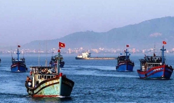 Coastal localities take stronger measures against IUU fishing ảnh 1