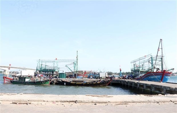 EC recognises Vietnam’s efforts to fight IUU, to conduct inspection in Q1, 2022 ảnh 1