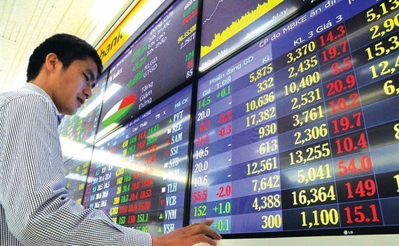 Investors show sentimental value in stocks ảnh 1