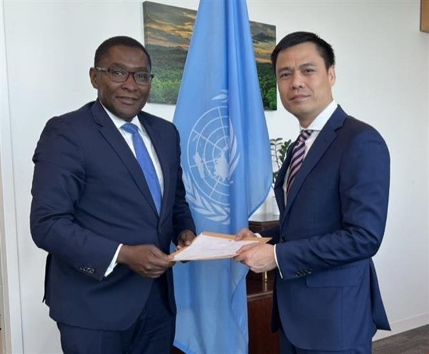 UN commends Vietnam’s seriousness in fulfilling climate commitments ảnh 1