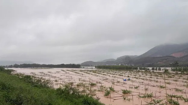 lu mien trung.jpg