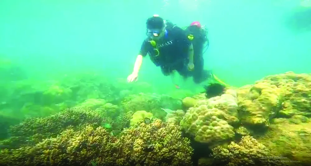 Những rặng san hô tuyệt đẹp dưới đáy biển Nha Trang.