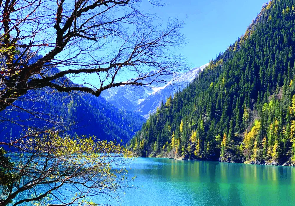 Cửu Trại Câu với những thung lũng có dòng nước trong vắt.