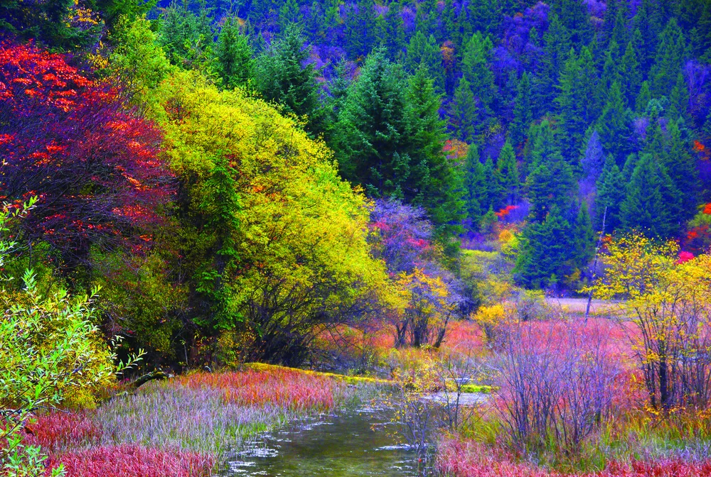 Hồ Mũi Tên đẹp từ những ngọn cỏ vào mùa nước cạn.