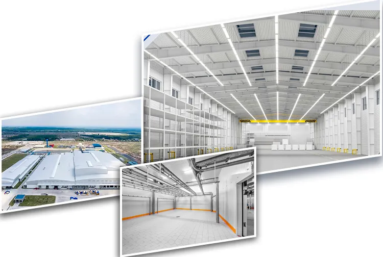 Nhiều doanh nghiệp đầu tư xây dựng kho lạnh sử dụng vật liệu bền, chắc và thân thiện môi trường