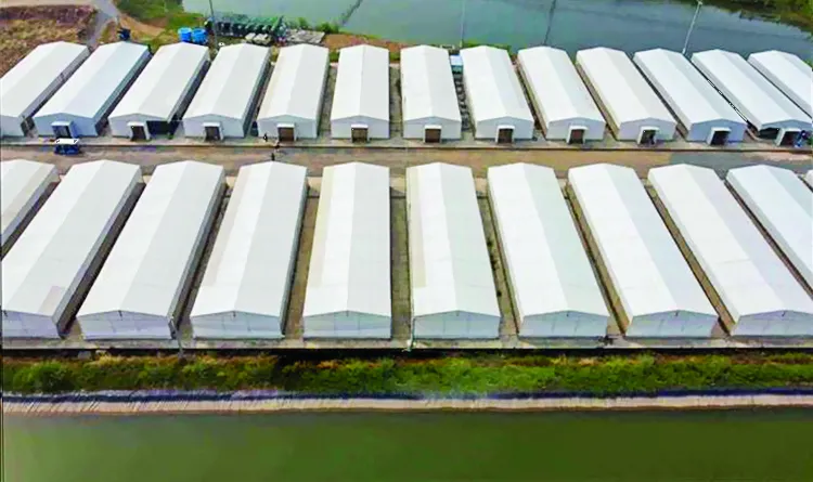 Mô hình trang trại ứng dụng công nghệ cao tại trại cá tra Việt - Úc