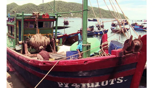 Cứu kịp thời 3 ngư dân Khánh Hòa bị tàu lạ đâm chìm giữa biển ảnh 2