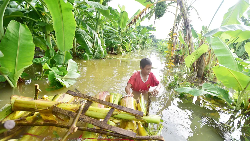 Nước sông Hồng dâng cao ảnh 3