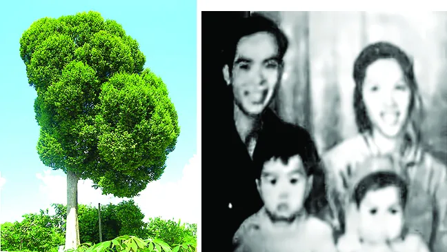 Cây Kơ-nia ở Tây nguyên và gia đình nhà thơ Ngọc Anh