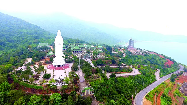 Lá phổi xanh Sơn Trà ảnh 2