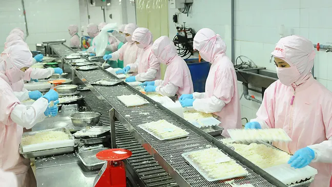 Chế biến tôm xuất khẩu tại một đơn vị               Ảnh: CAO THĂNG